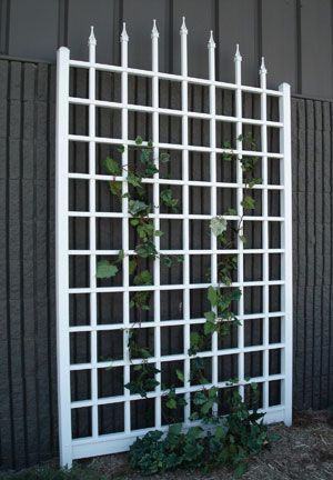 Dura-Trel Winchester Vinyl Wall Trellis
