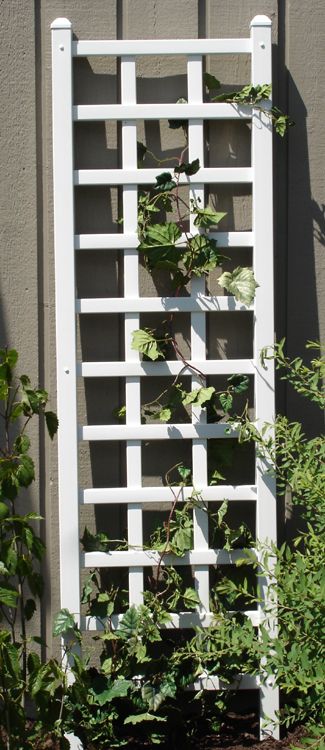 Dura-Trel Providence Vinyl Wall Trellis