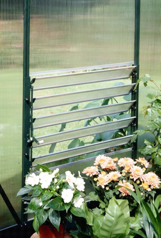 Halls Green Louver Windows-Poly