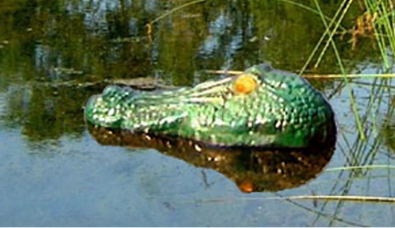 Gator Guard Bird Repeller