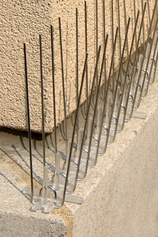 Polycarbonate Narrow Spikes 10ft