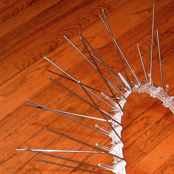 Stainless Steel Narrow Spikes 100ft