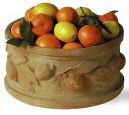 Citrus Tub Planter