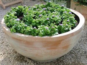 Thames Bowl Planter in Terracotta Finish