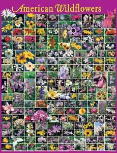 American Wildflowers Puzzle