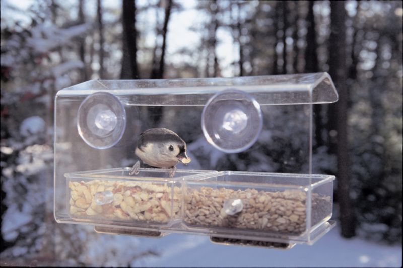 Bird Buffet Feeder