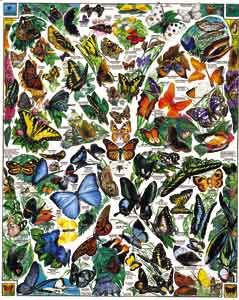 Butterflies Puzzle