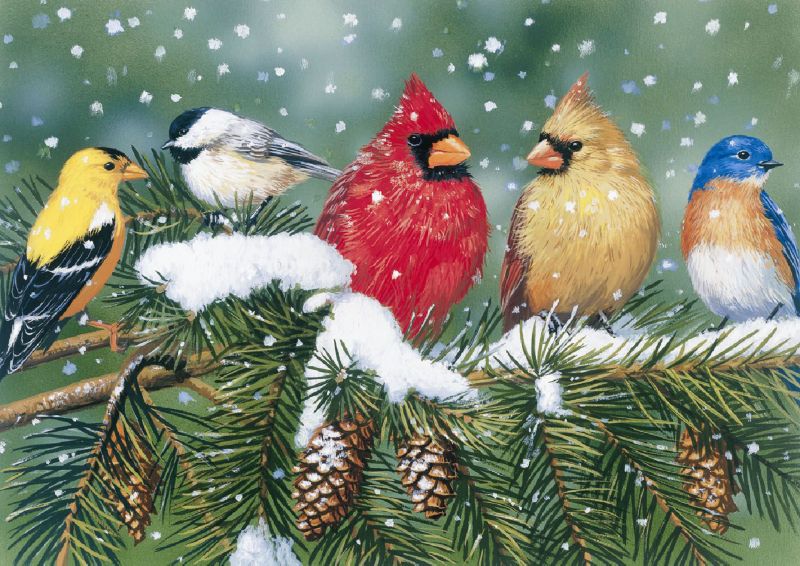 Cardinals and Friends Puzzle