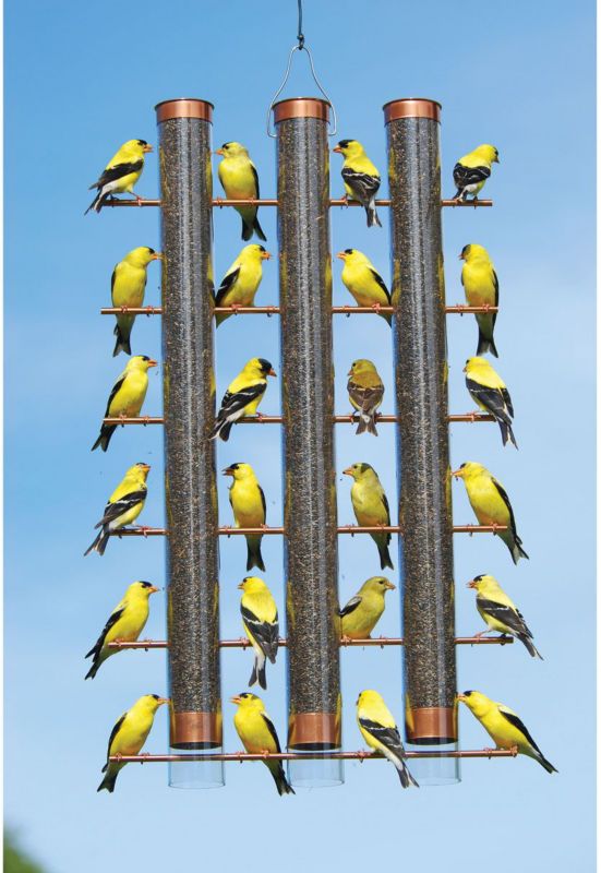 Finches Favorite 3 Tube Feeder Plastic
