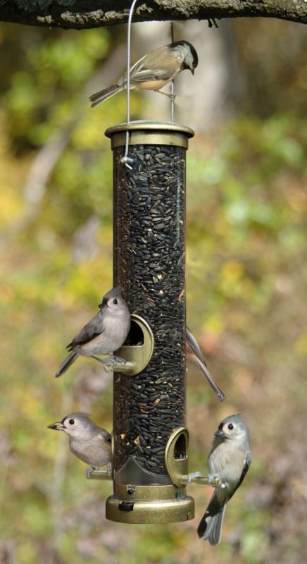 Medium Seed Tube Bird Feeder Antique Brass