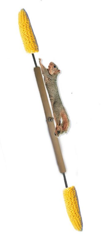 Squirrel Spinner Feeder