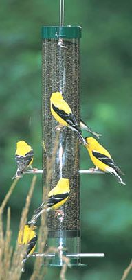 Thistle Tube Feeder