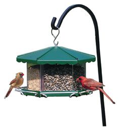 Triple Bin Party Feeder