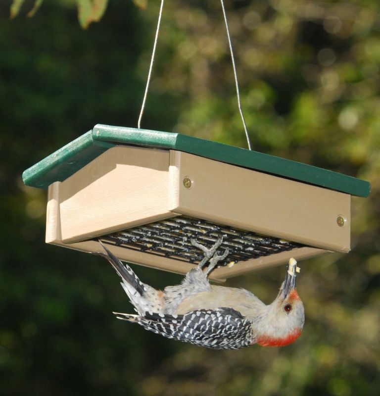 Upside Down Suet Feeder-Driftwood
