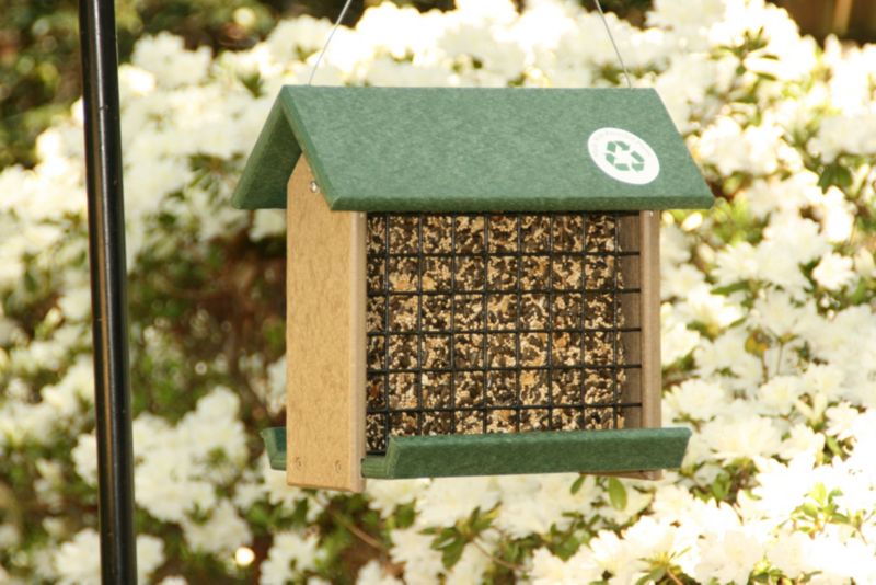 Woodpecker Feeder
