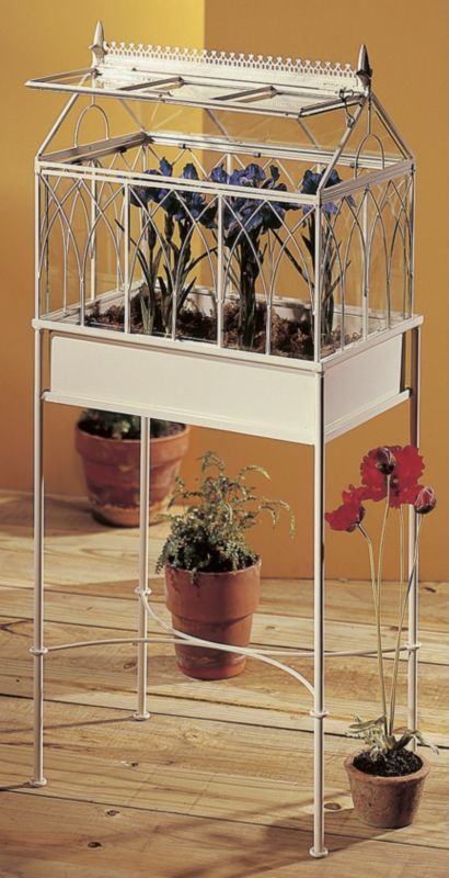 Small Gothic Terrarium