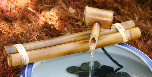 12in Classic Water Spout And Pump Kit