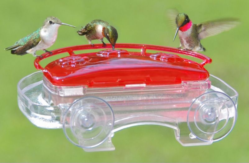 Jewel Box Window Hummingbird Feeder