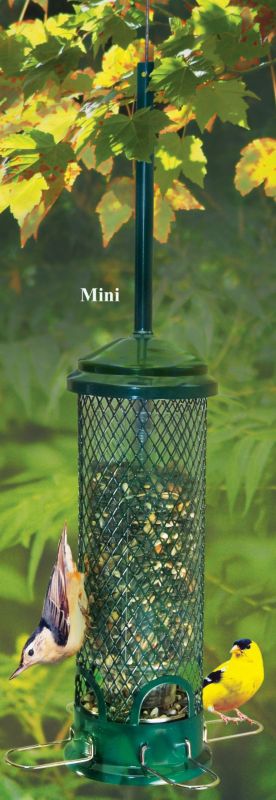 Squirrel Buster Finch Feeder