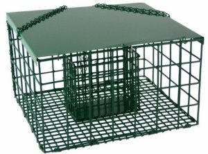 Squirrel Resistant Suet Palace