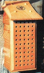 Schrodt PBBSML Mason Bee Lodge for Garden Pollination