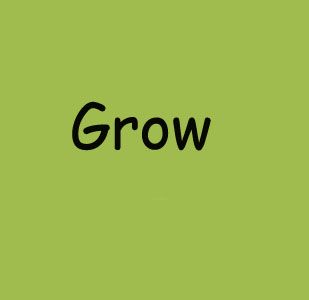 Grow Shirt