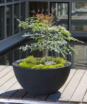 Piccadilly Lite Planter- Iron