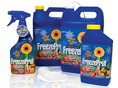 Freeze Pruf Qt Concentrate