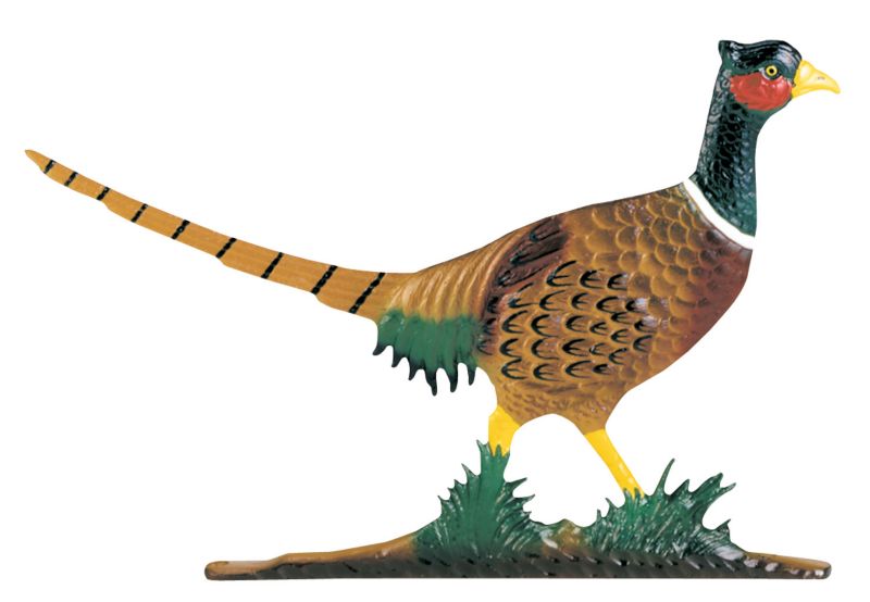 Mailbox Sign w Pheasant