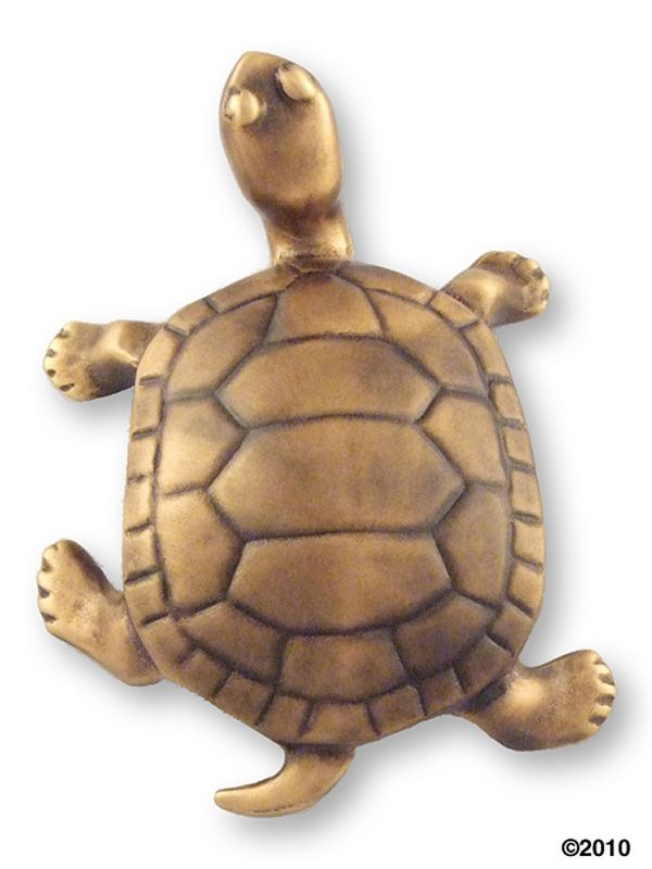 Turtle Unique Outdoor Art