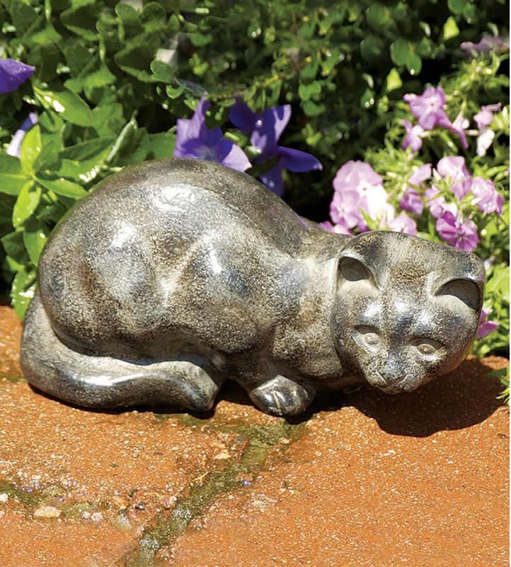 Watchful Cat