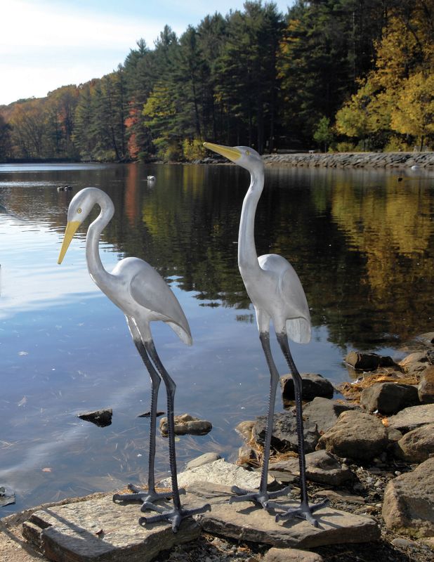 Great Egret
