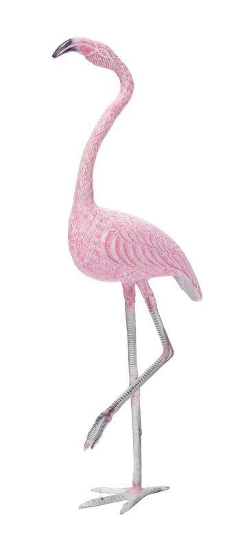 American Flamingo