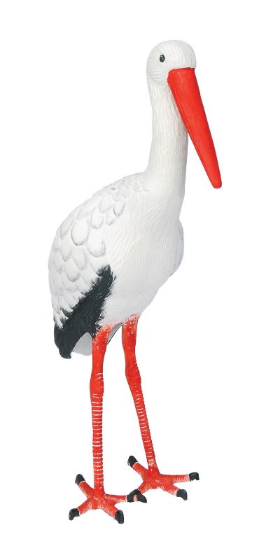 Stork