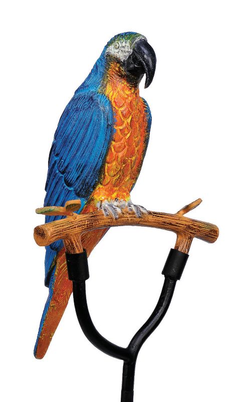Macaws