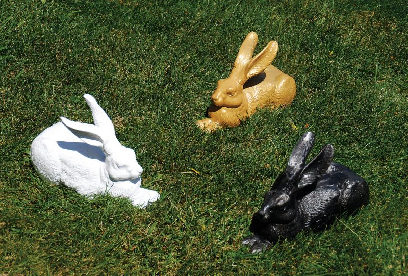 Rabbits