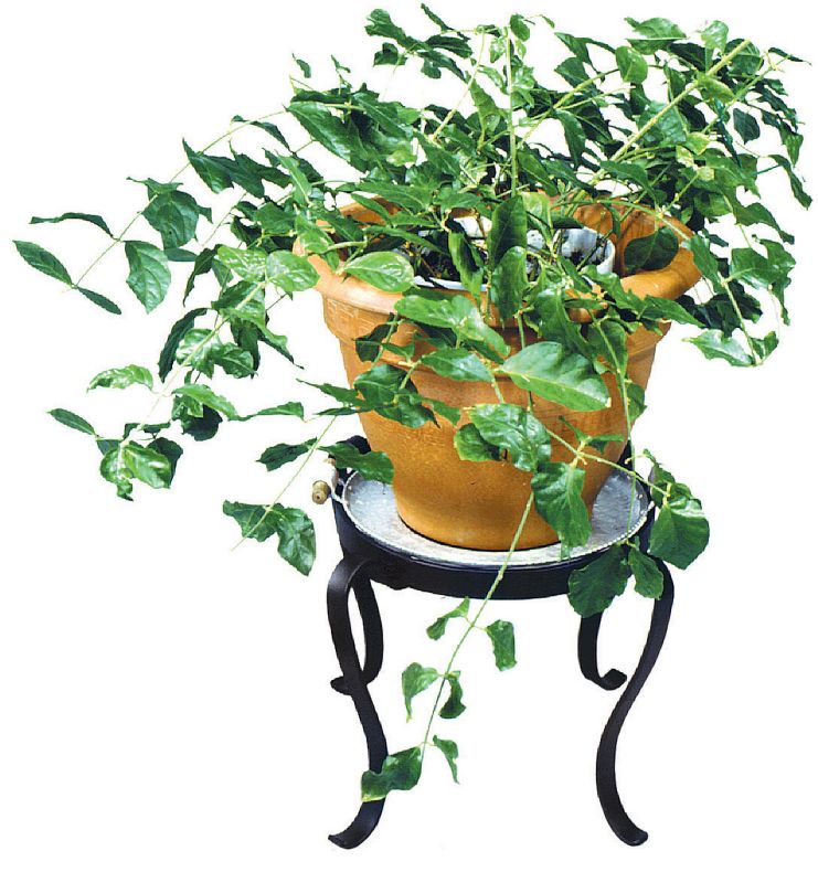 Patio Flowerpot Stand