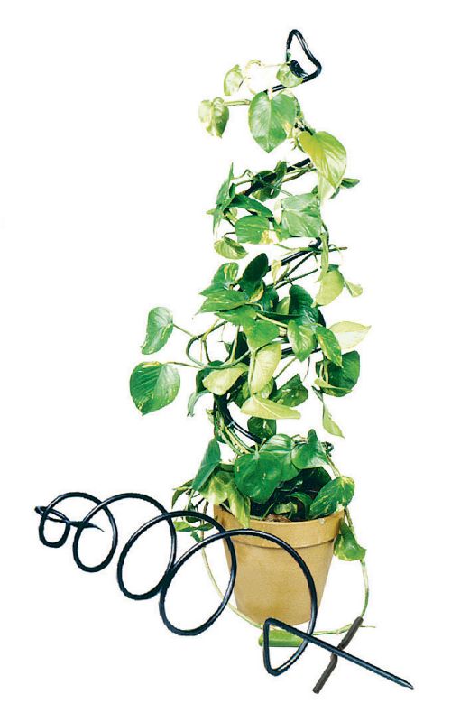 Achla Spiral Pot Trellis