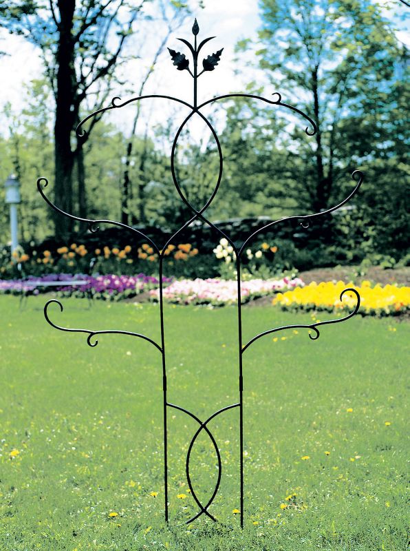 Achla Tendrils Metal Garden Trellis 24 x 72 Inch