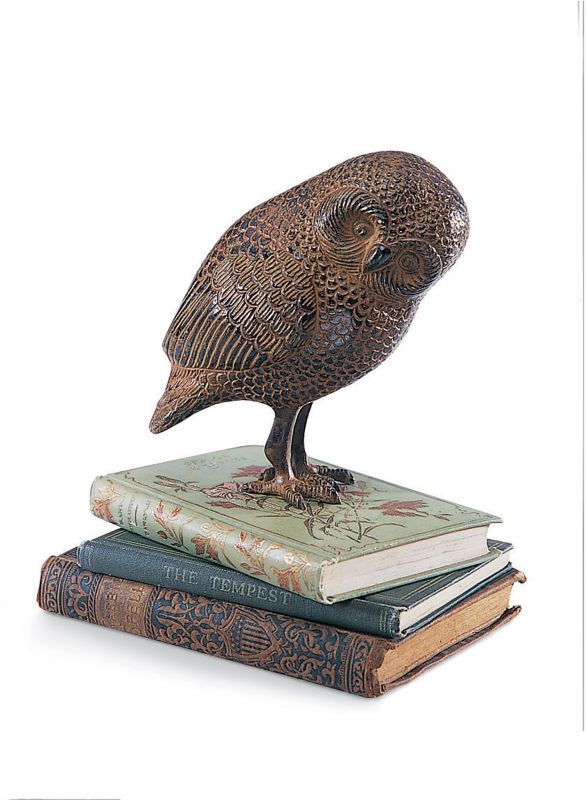 Owl