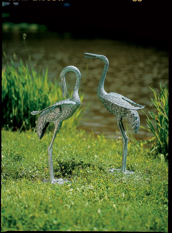 Preening Cranes