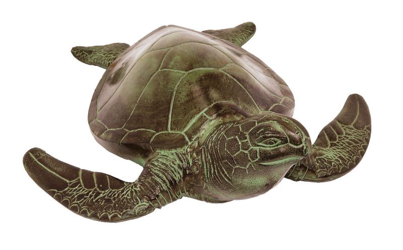 Sea Turtle