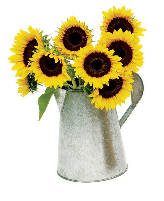 Flower Carafe