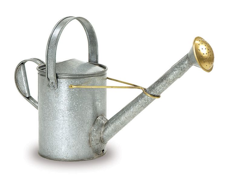 Galvanized Long Necked Watering Can