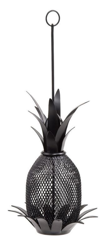 Pineapple Bird Feeder
