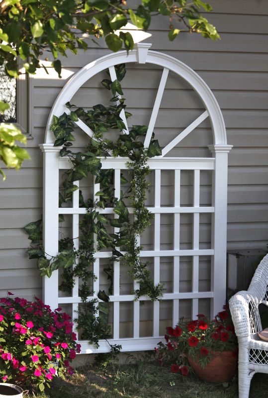 Vienna Trellis