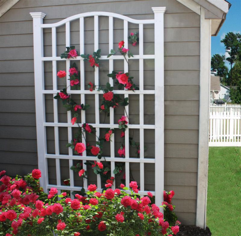 Grande Trellis