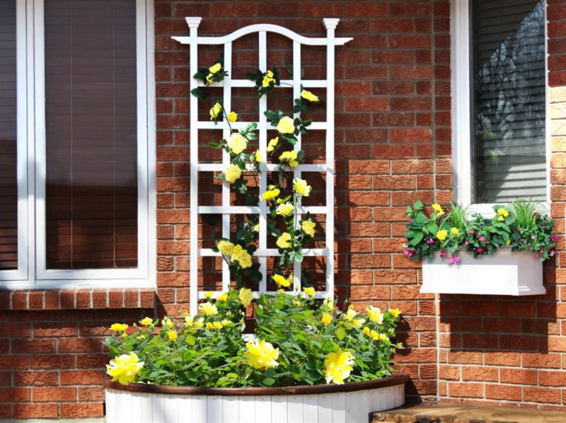 London Trellis
