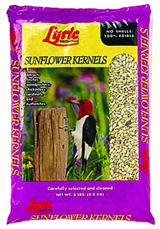 Lyric 5 lbs Sunflower Kernels