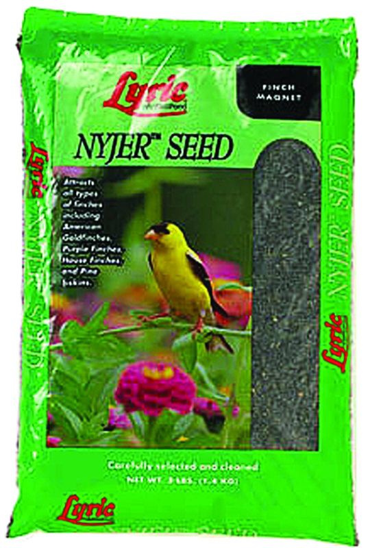 Lyric 10 lbs Nyjer Seed